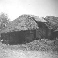 eika image